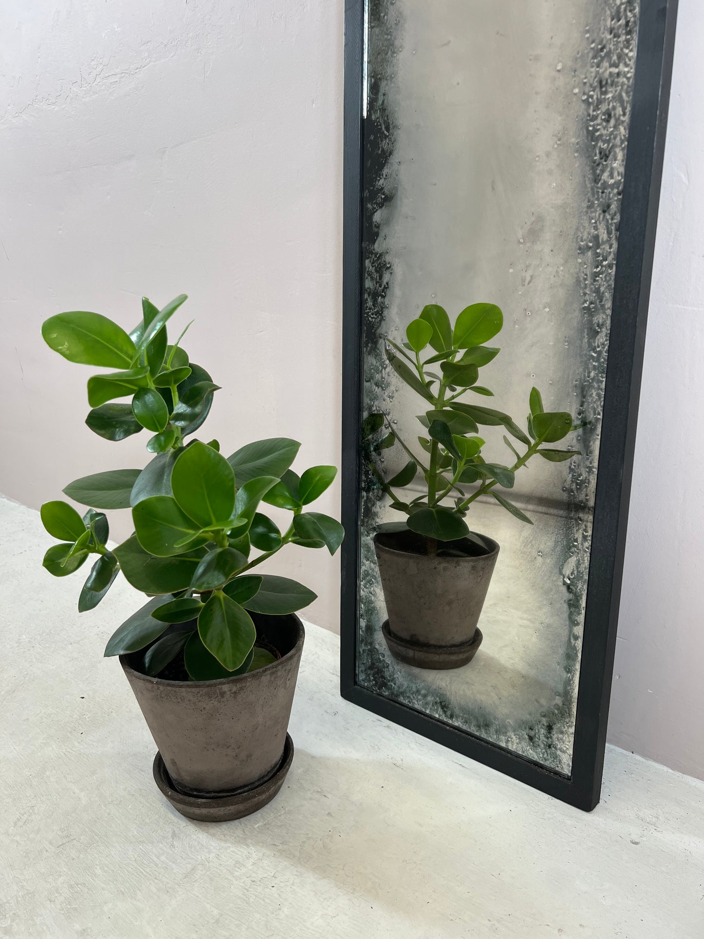 Heavy Rough Edges - 303mm x 1680mm