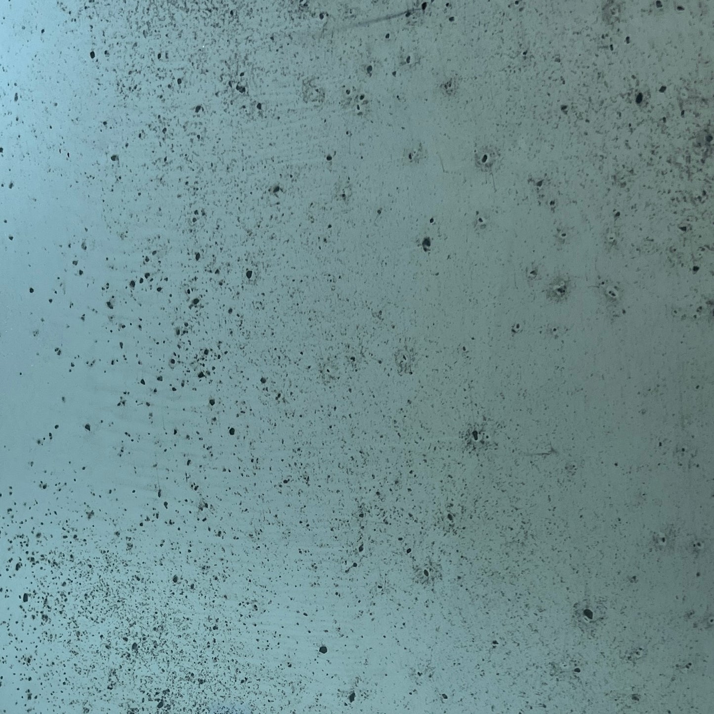 Blue Tint - Medium Mottle