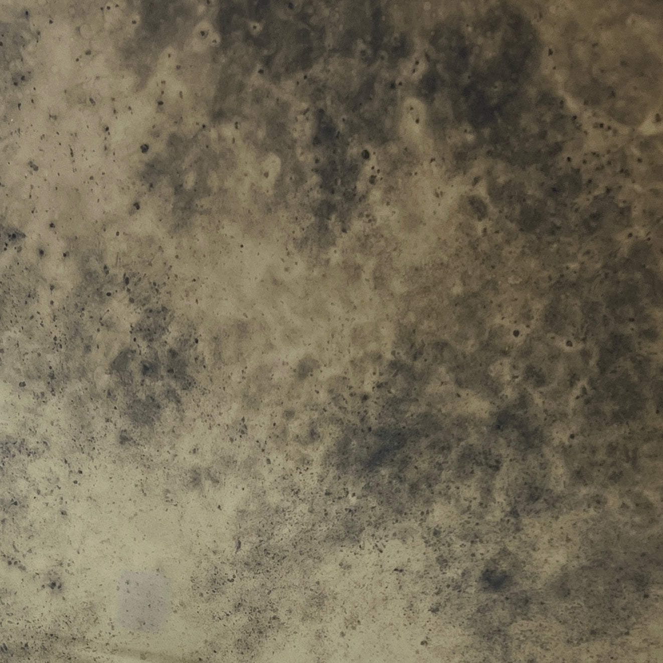 Bronze Tint - Medium Vintage