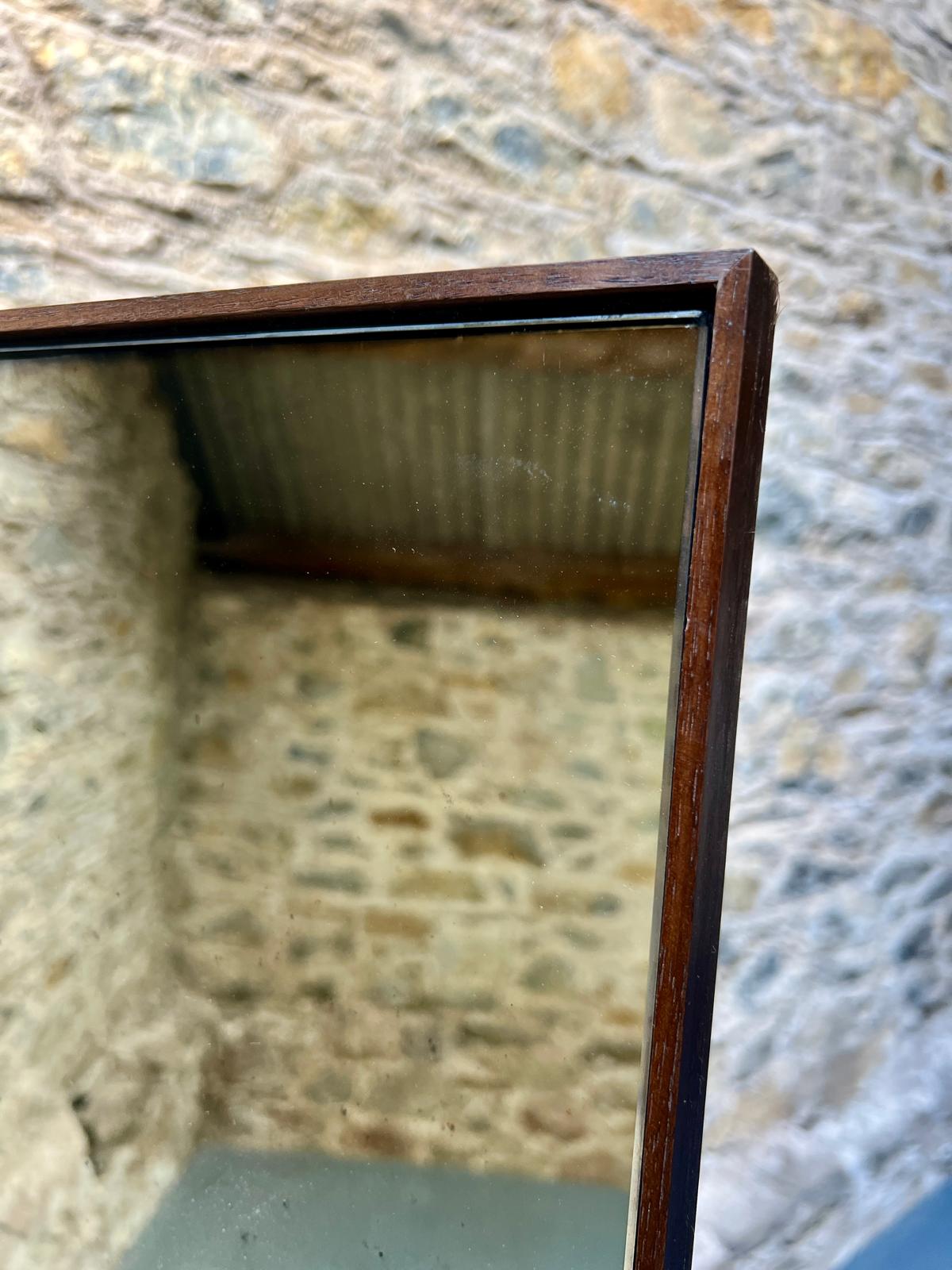 Single Panel Light Fox with walnut frame - 694 x 1794mm