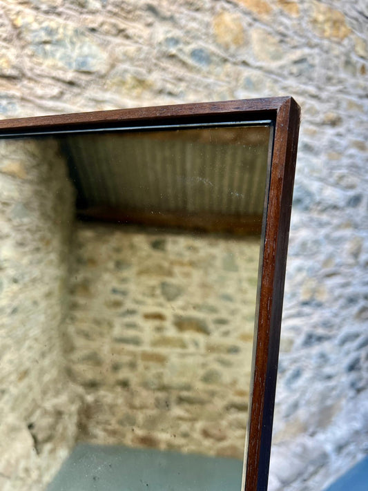 Single Panel Light Fox with walnut frame - 694 x 1794mm
